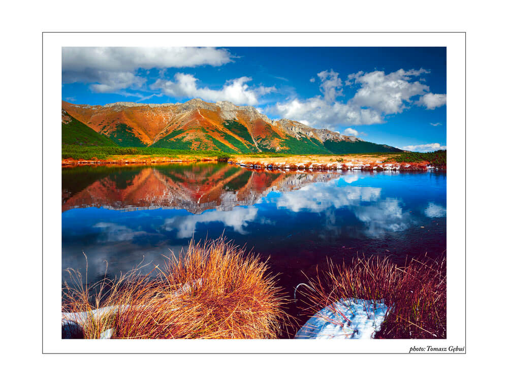Landscape