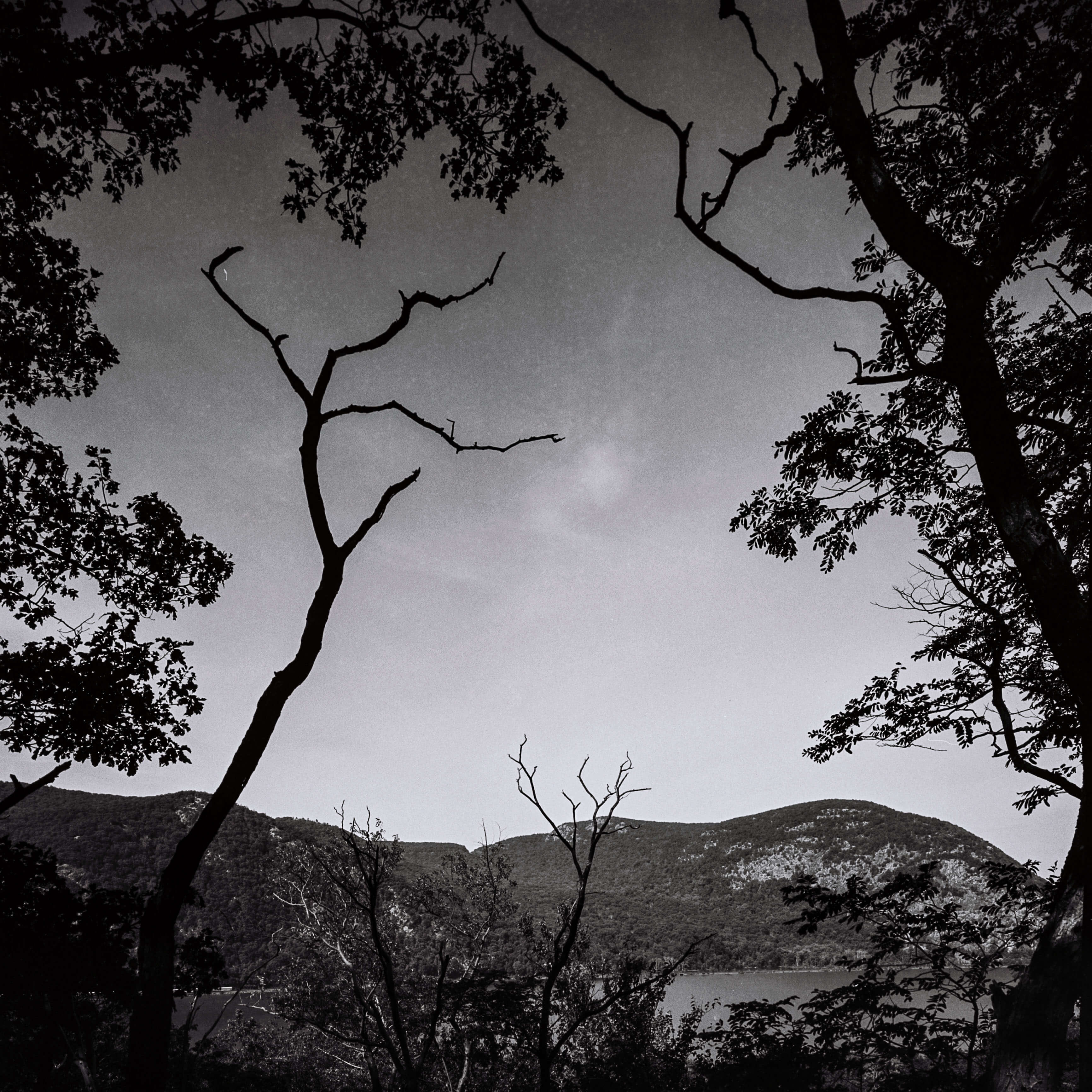 6x6 Film