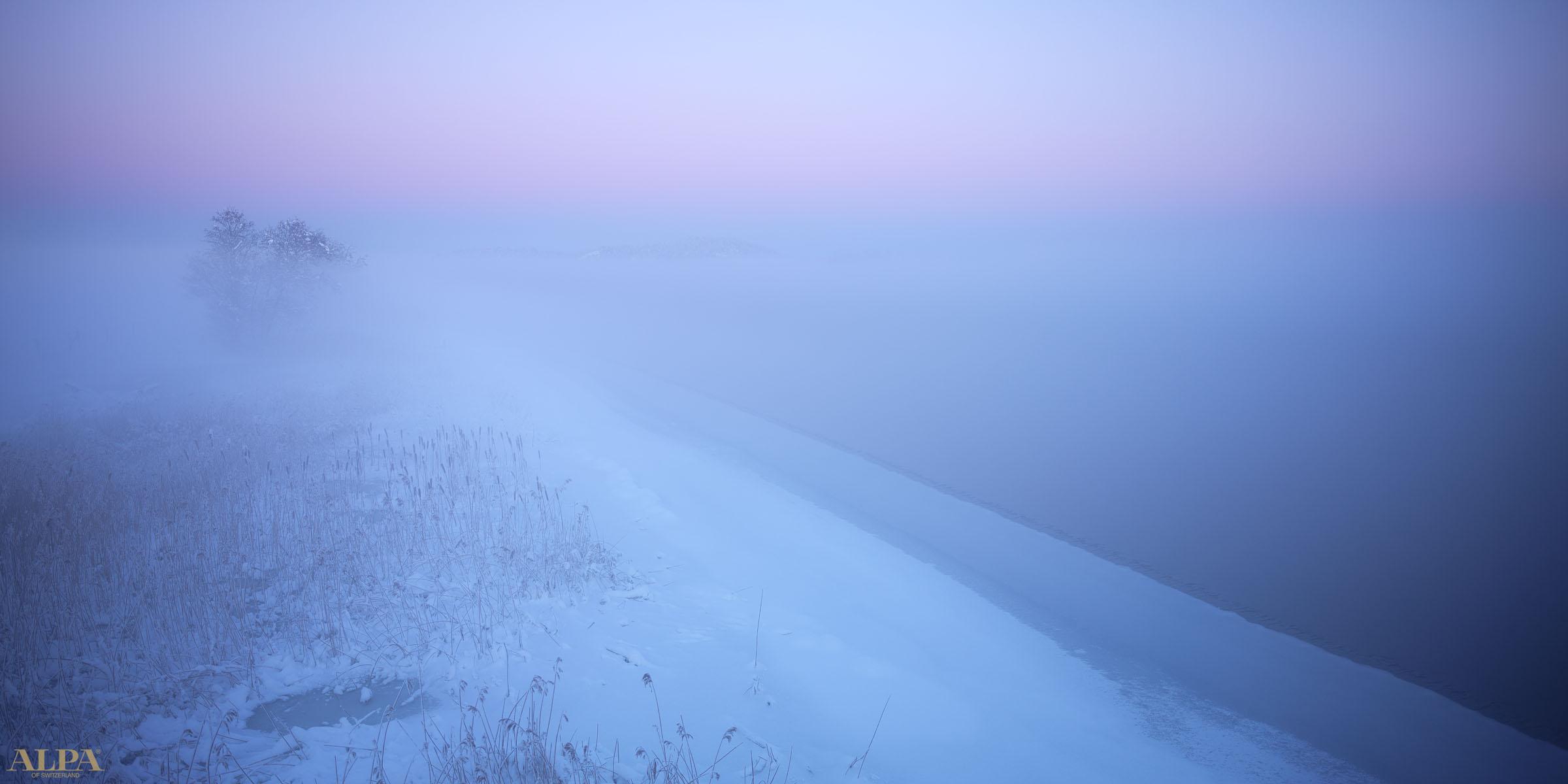 Winter Day