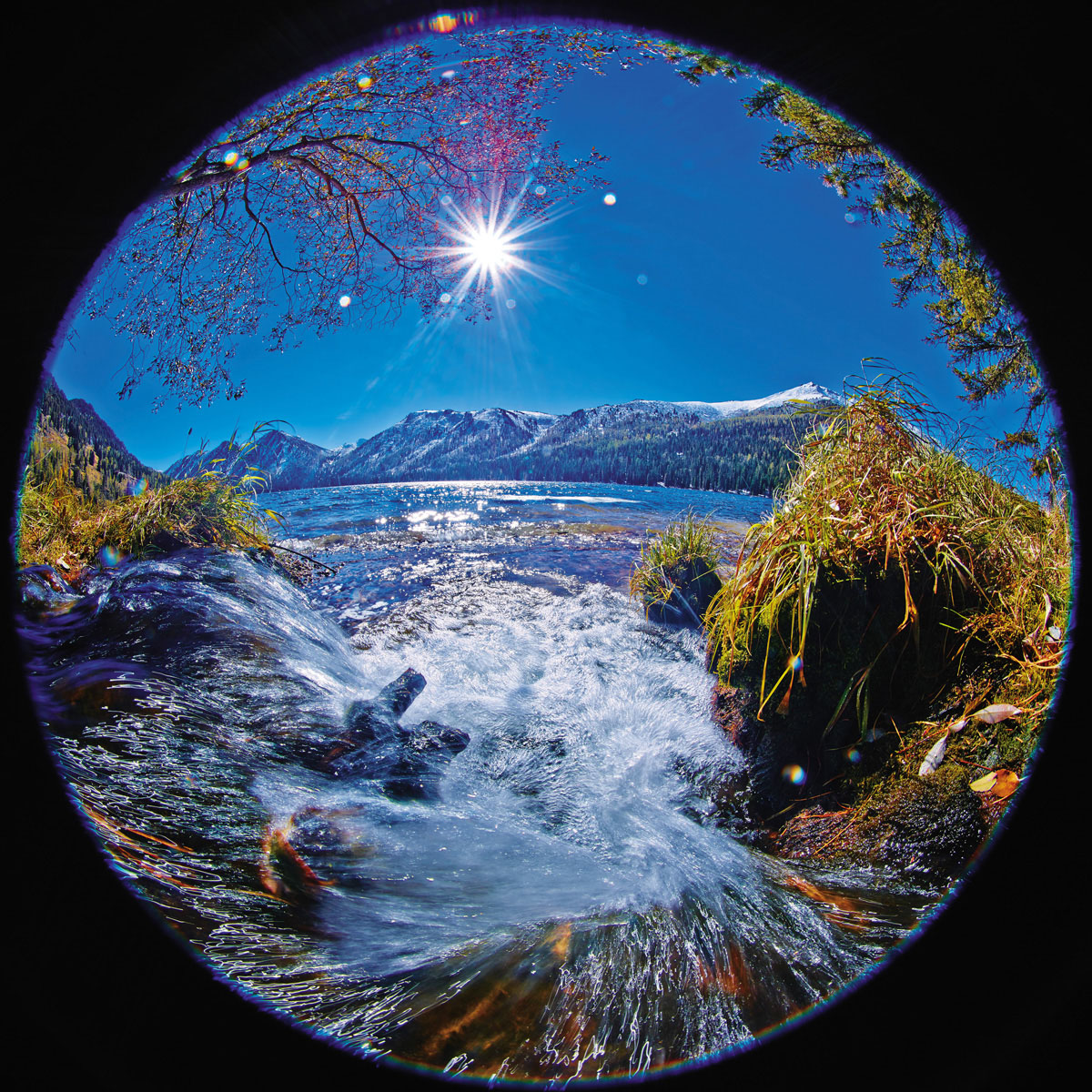 Landscape in Circles