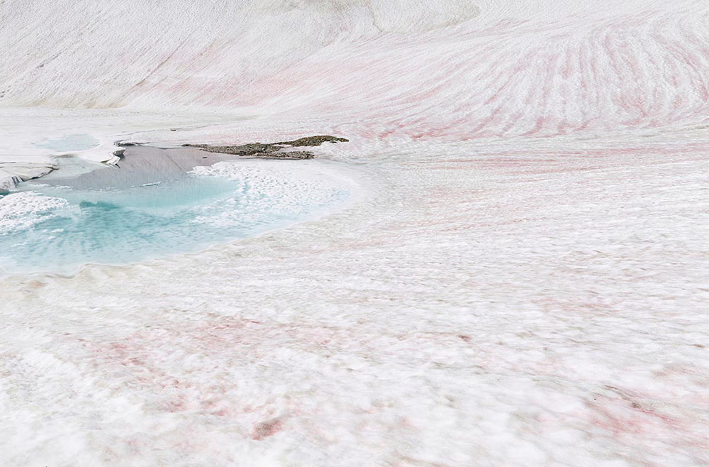 The Last Glacier