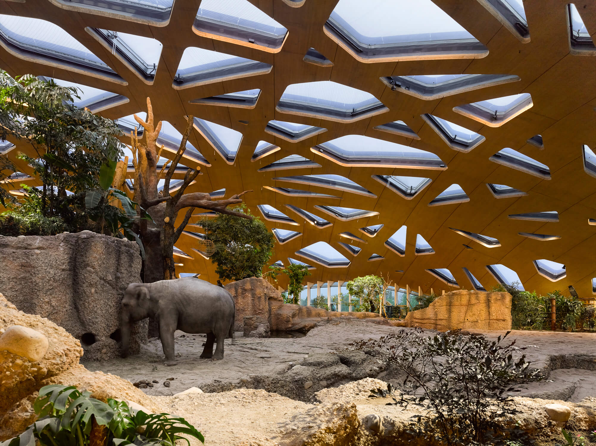 Elefantenhaus ZOO Zürich