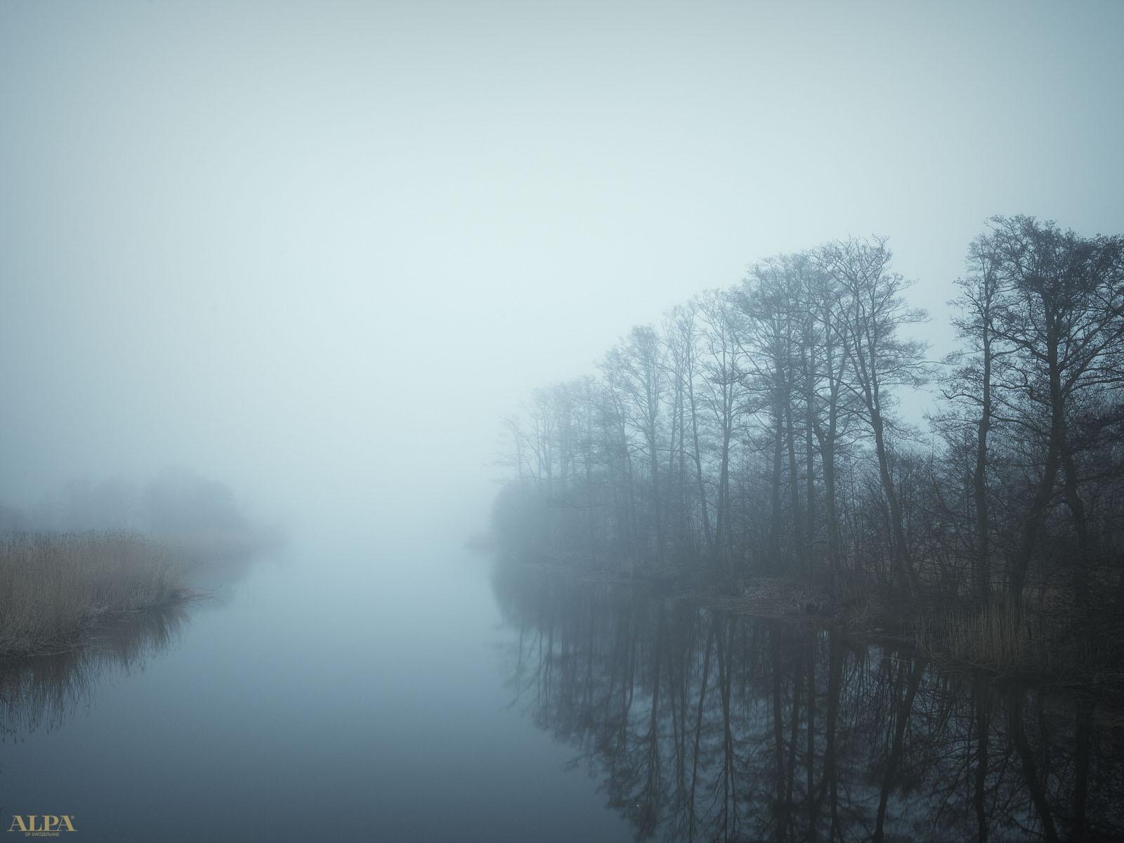 Foggy Day