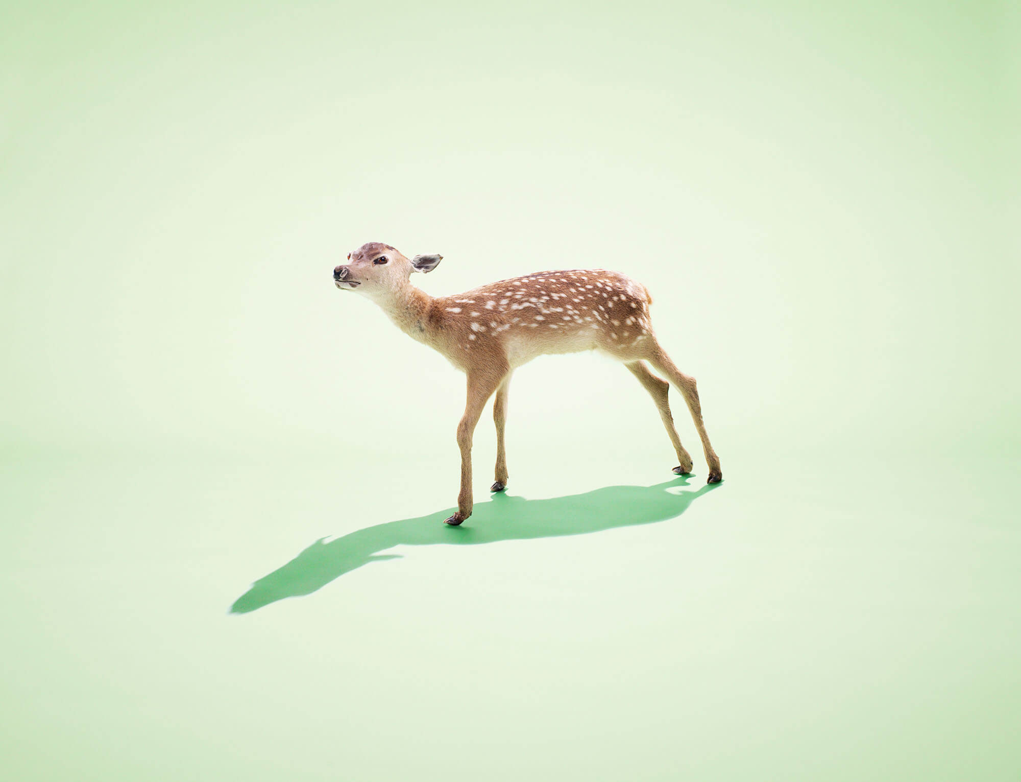 Commercial