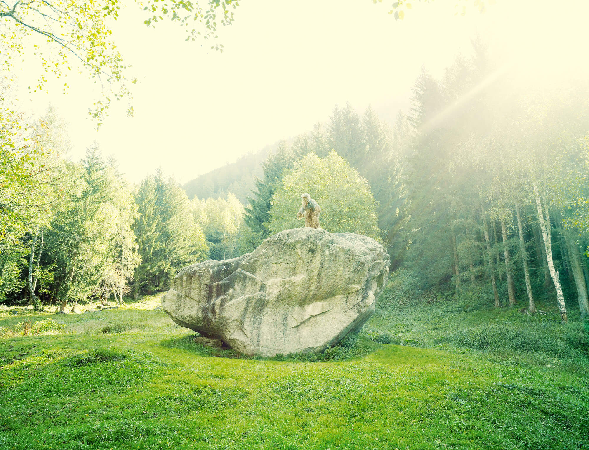 Landscape