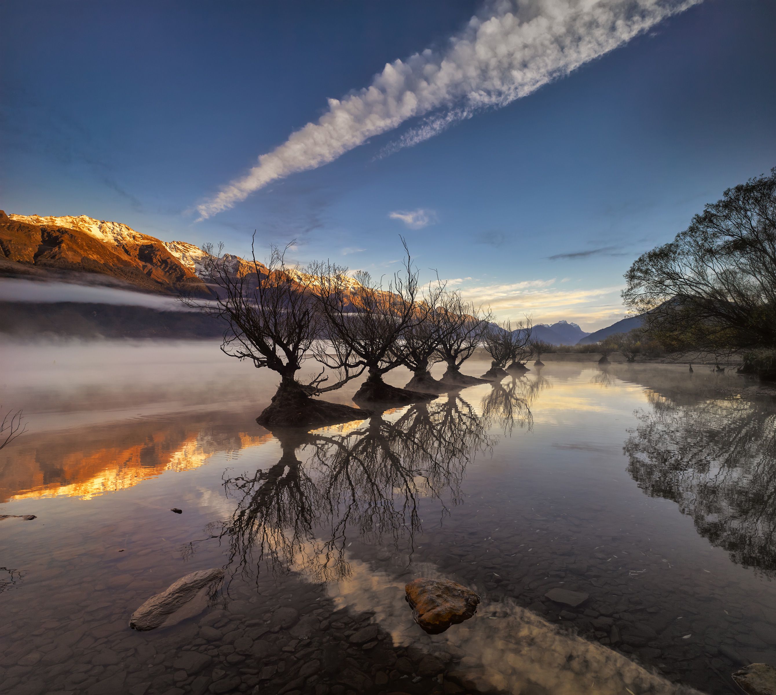 New Zealand
