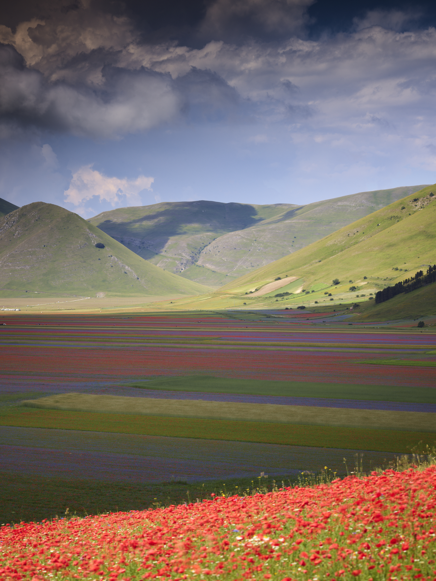 NEW DATES - ALPA Masterclass in Italy