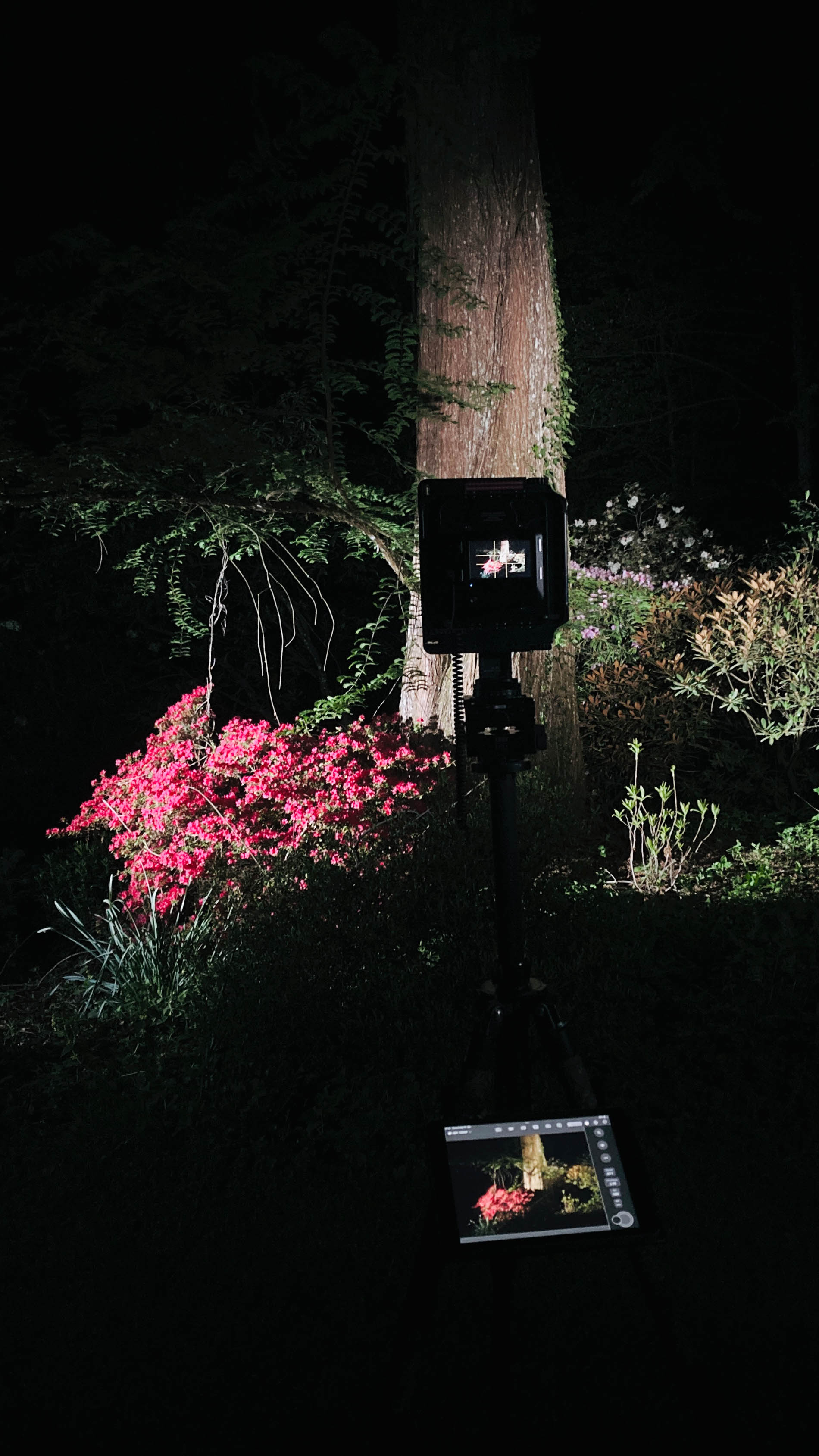 Exhibition with Gaudenz Danuser - HORTUS SPATIALIS – The Geography of Silence